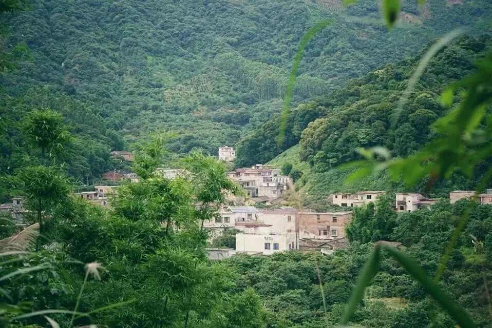 廣州·菁木山舍，有個(gè)木屋開滿鮮花看花開花落