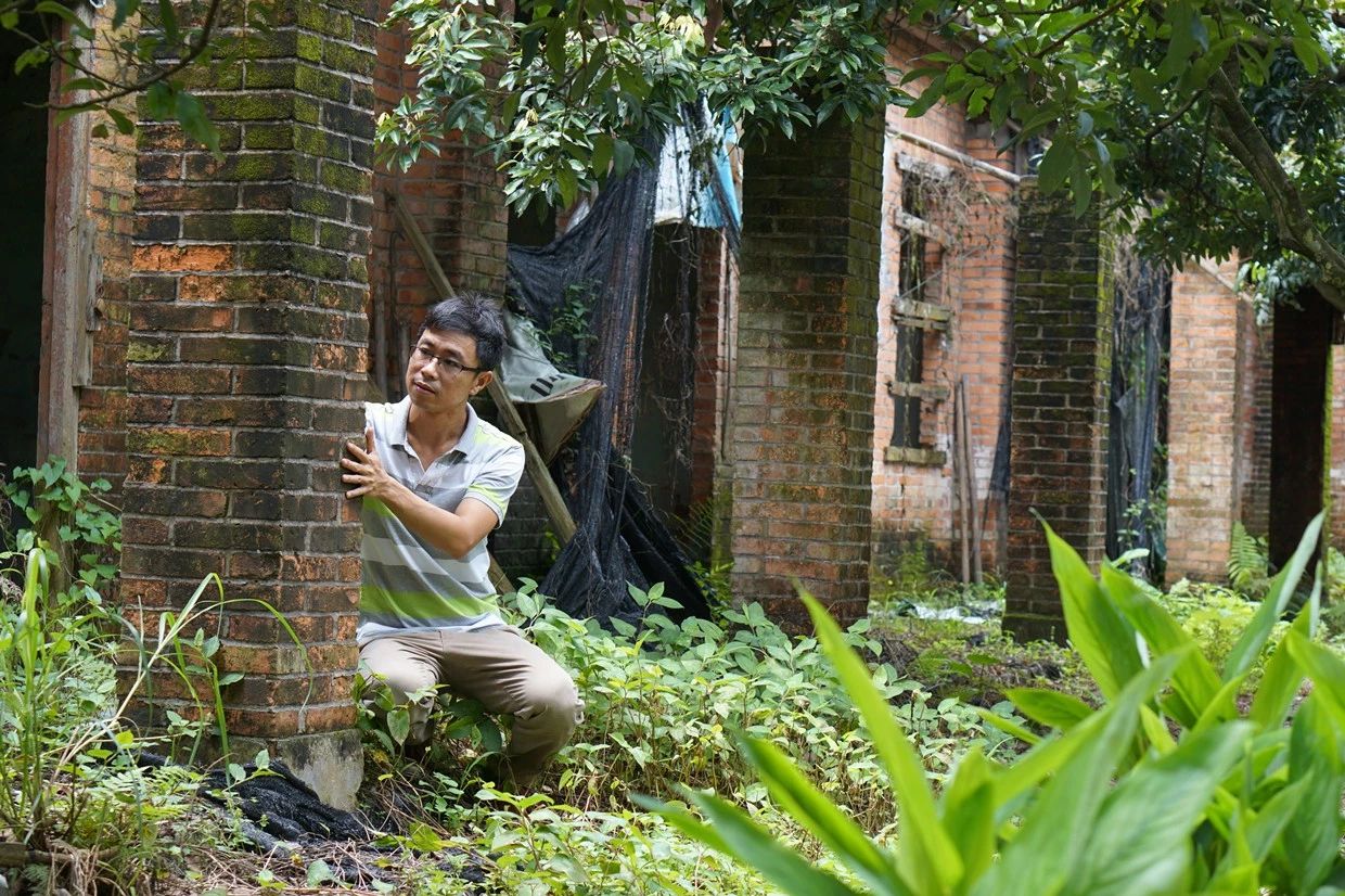 廣州·菁木山舍，有個木屋開滿鮮花看花開花落