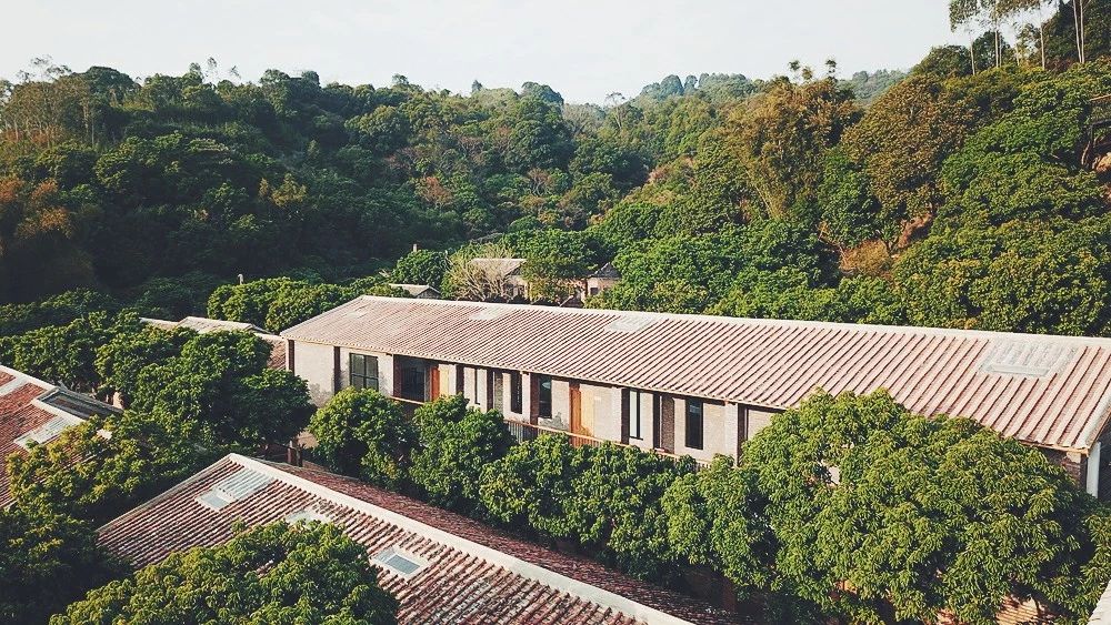 廣州·菁木山舍，有個木屋開滿鮮花看花開花落