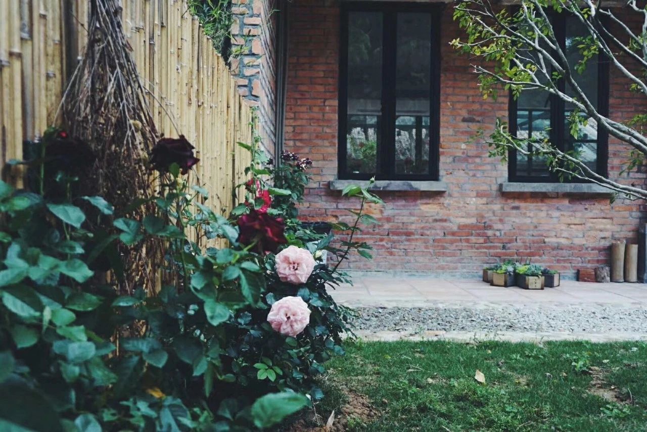 廣州·菁木山舍，有個木屋開滿鮮花看花開花落