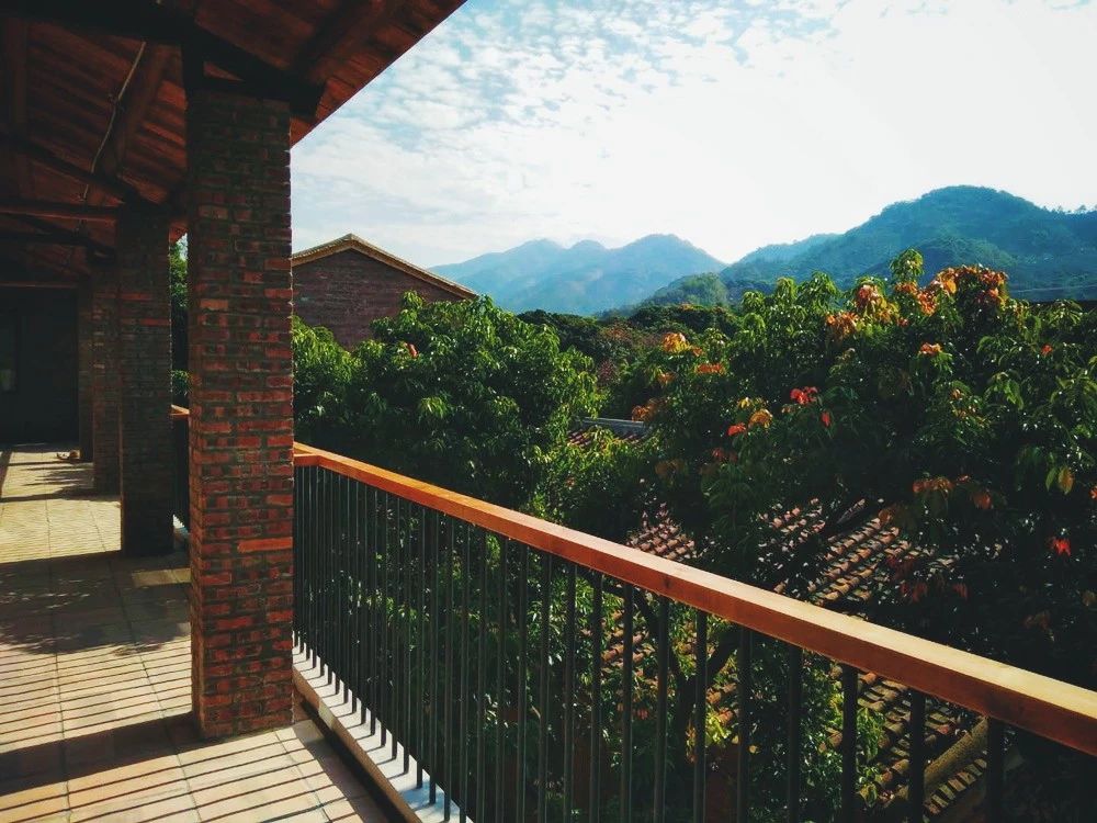 廣州·菁木山舍，有個木屋開滿鮮花看花開花落