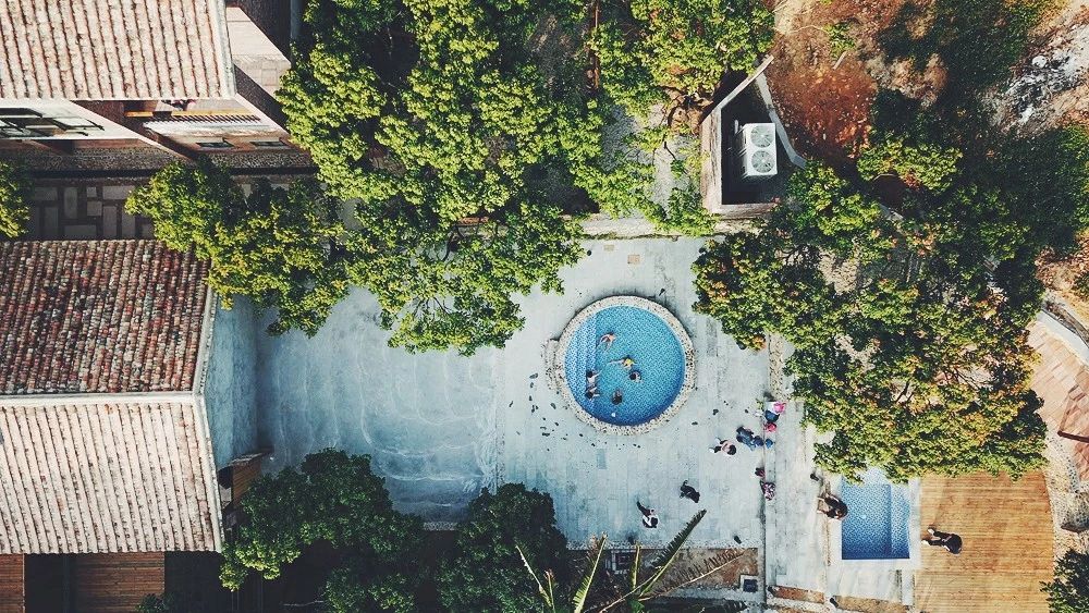 廣州·菁木山舍，有個木屋開滿鮮花看花開花落