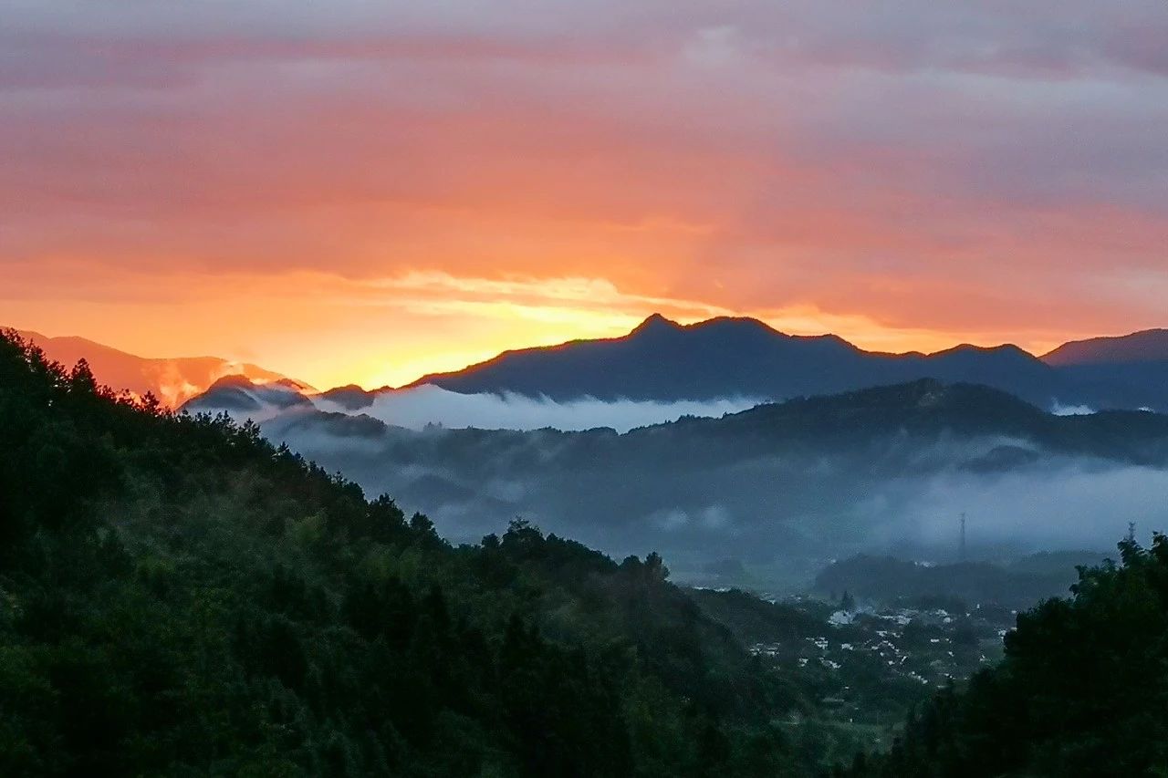 一音禪師的佛系生活：獨自修行活在當(dāng)下！