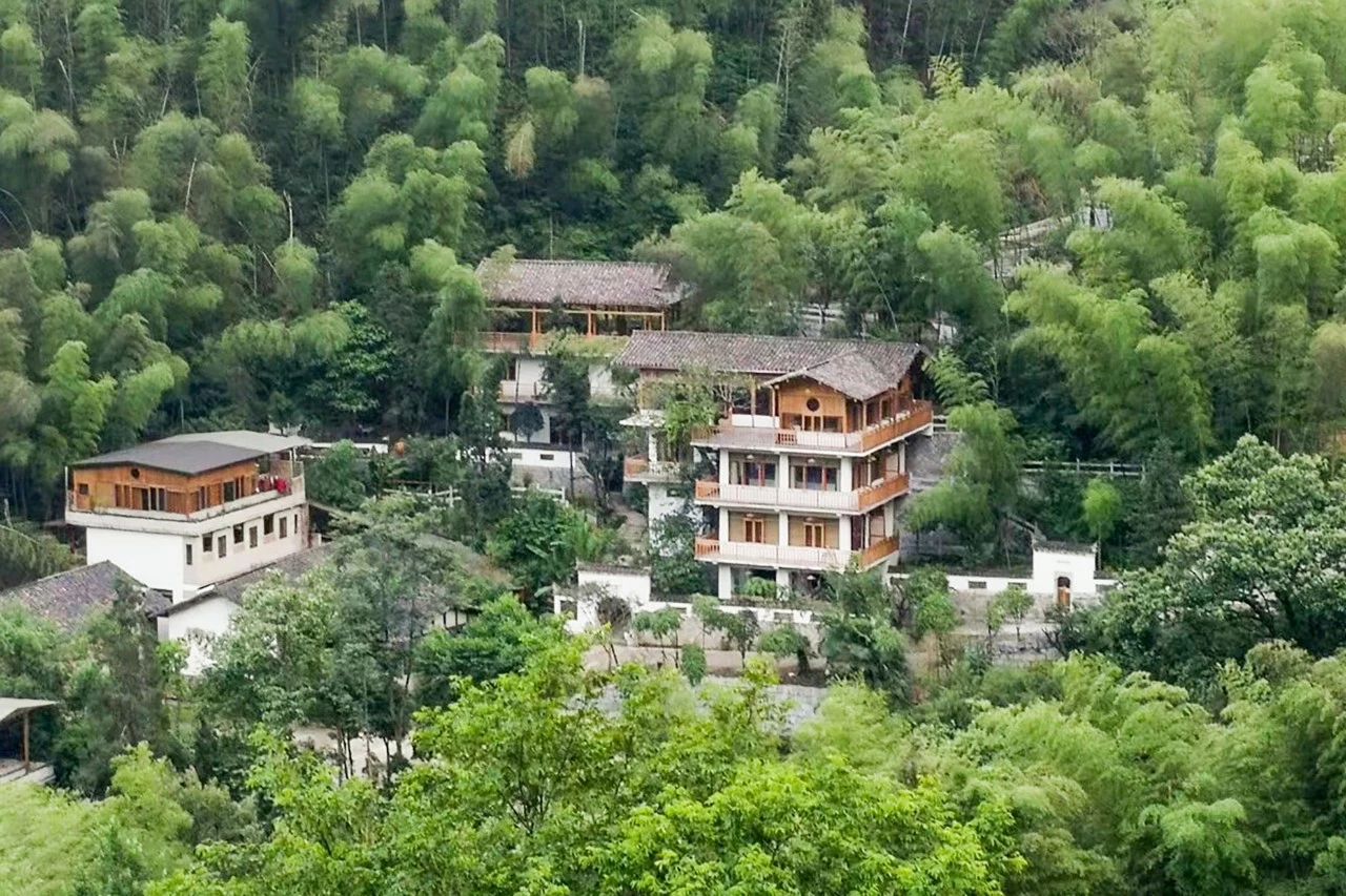 一音禪師的佛系生活：獨(dú)自修行活在當(dāng)下！