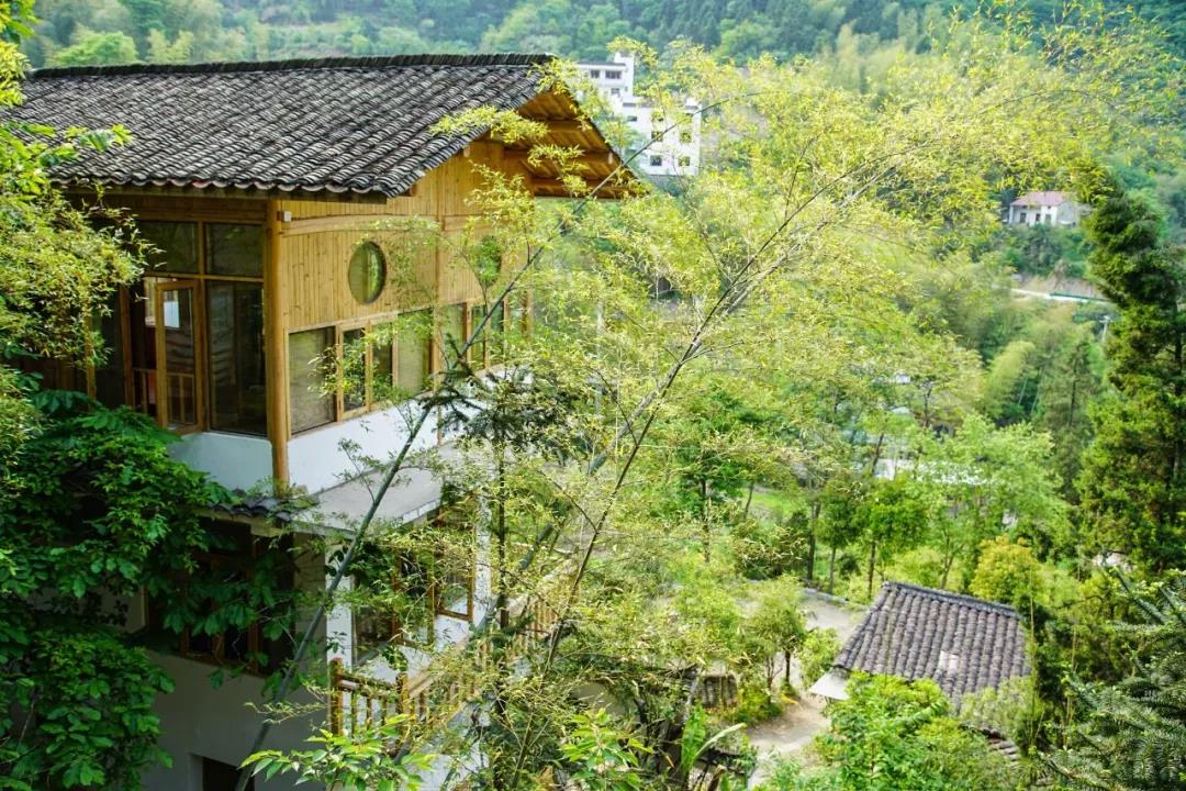 一音禪師的佛系生活：獨自修行活在當(dāng)下！