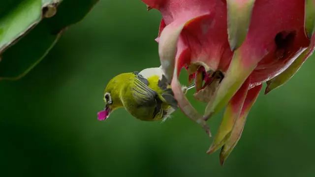 騰沖·敘蘭亭，不是讓古宅在時(shí)光中老去