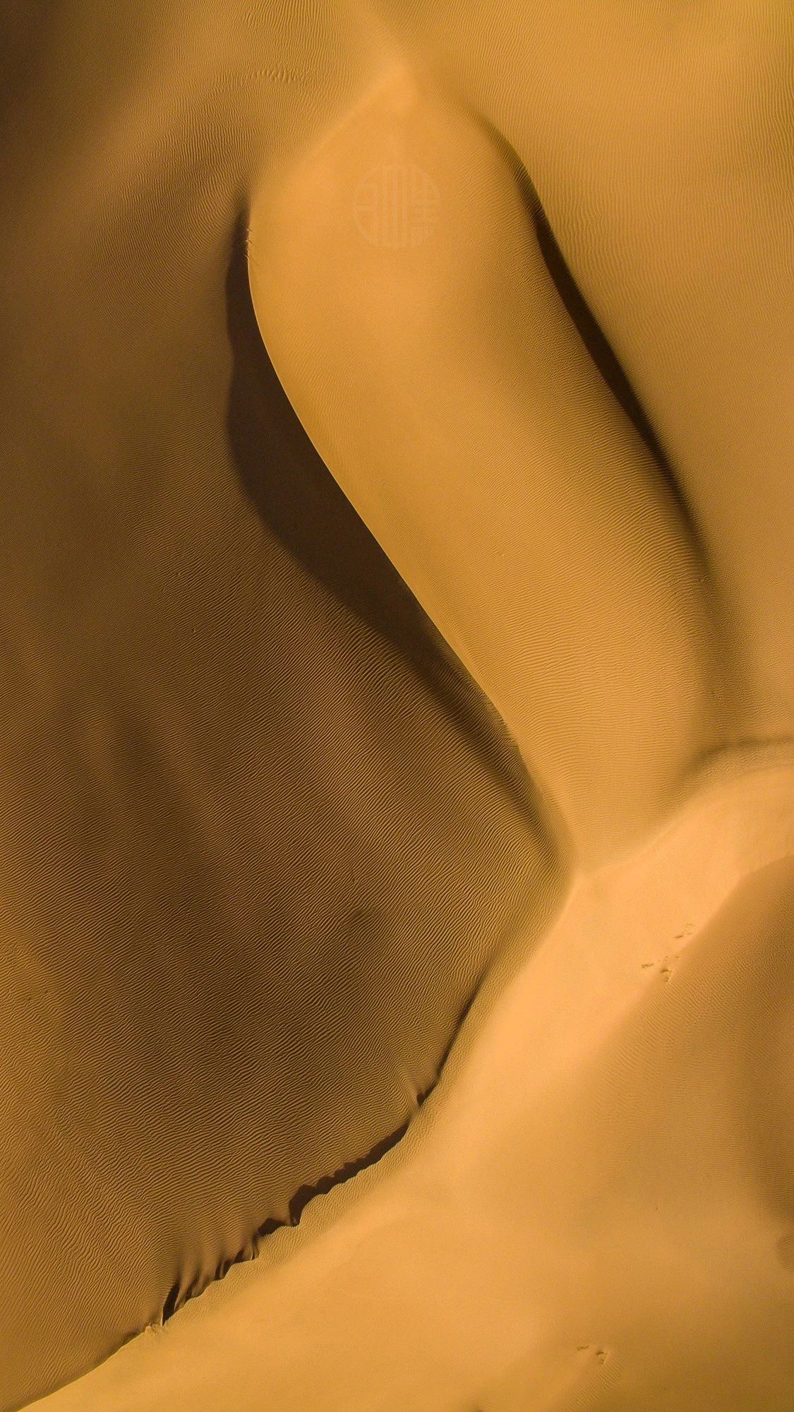 驚艷福連文苑景：發(fā)現(xiàn)未知的美！