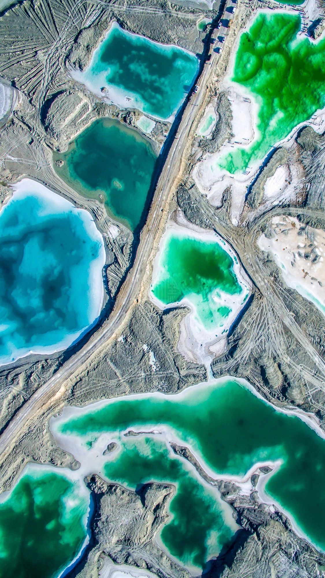 驚艷福連文苑景：發(fā)現(xiàn)未知的美！