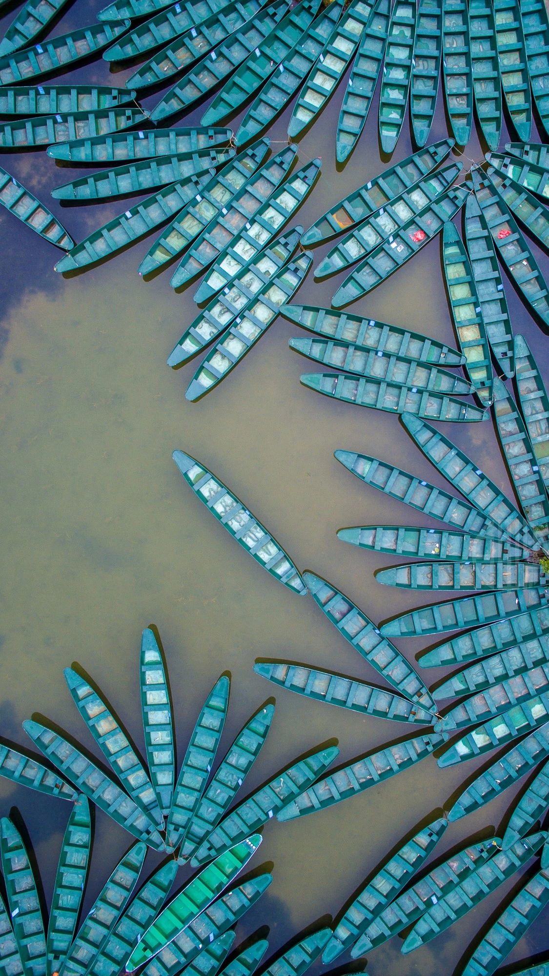 驚艷福連文苑景：發(fā)現(xiàn)未知的美！