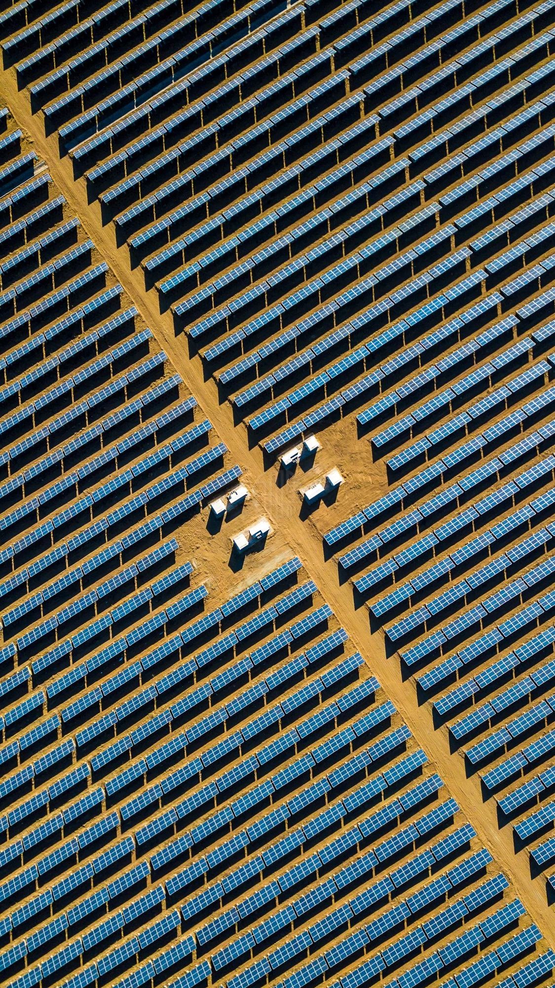 驚艷福連文苑景：發(fā)現(xiàn)未知的美！