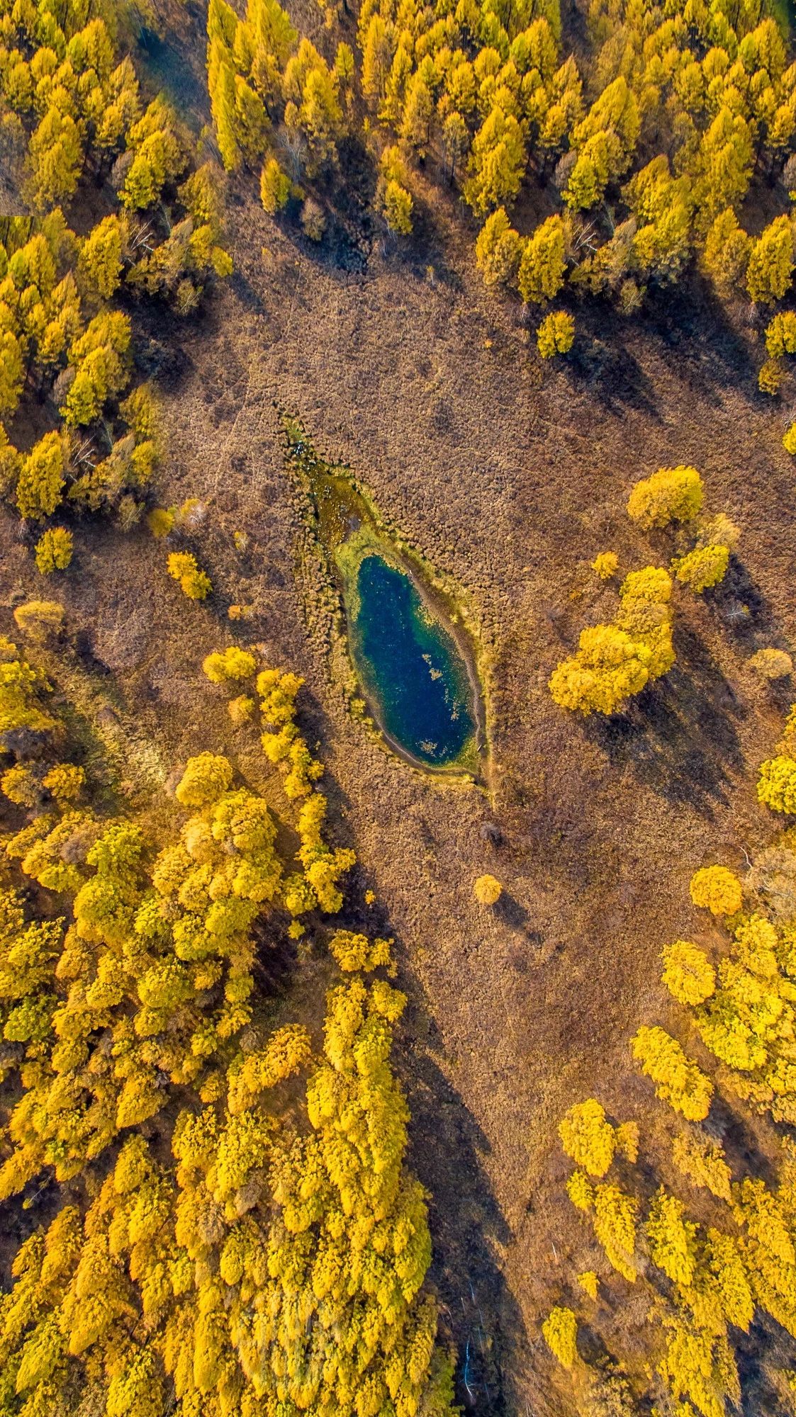 驚艷福連文苑景：發(fā)現(xiàn)未知的美！