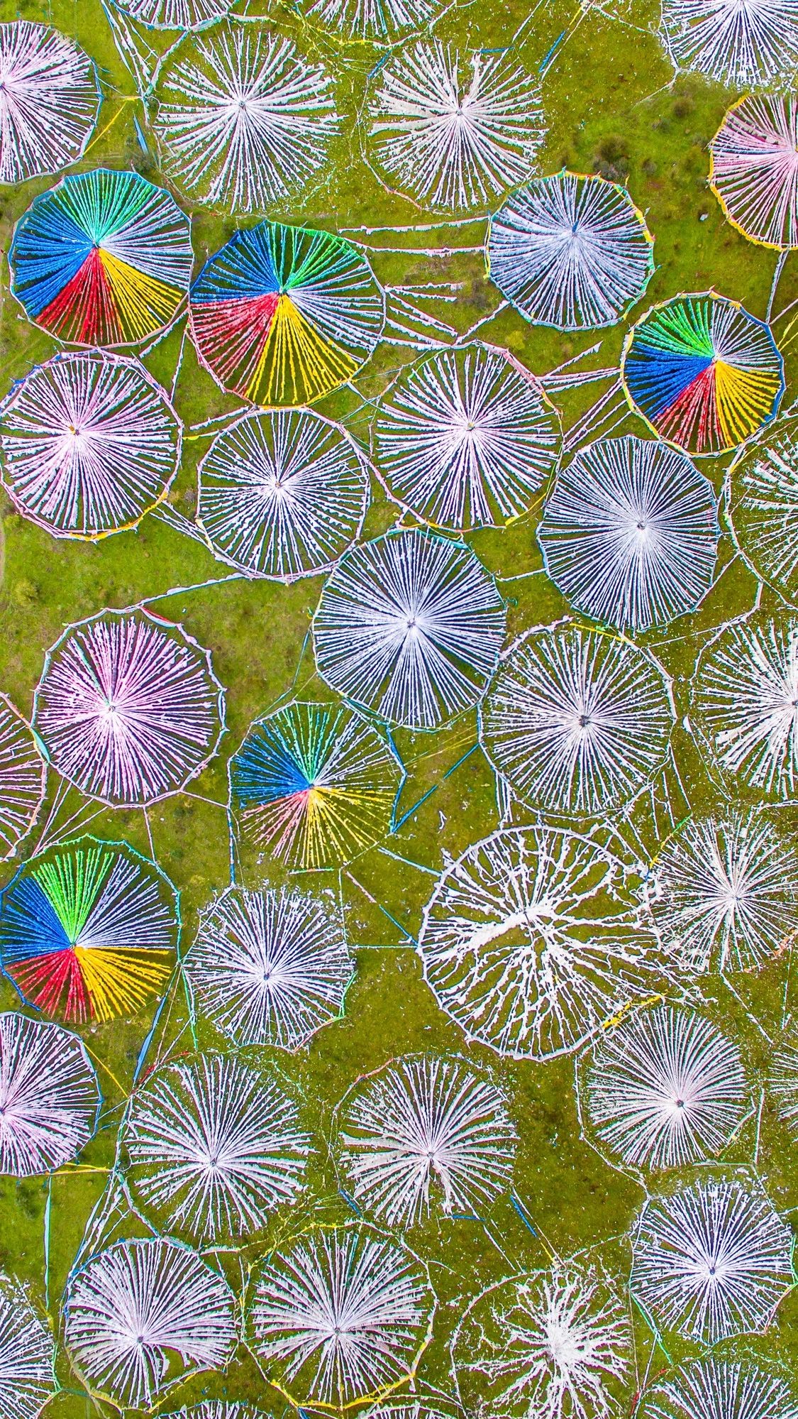 驚艷福連文苑景：發(fā)現(xiàn)未知的美！