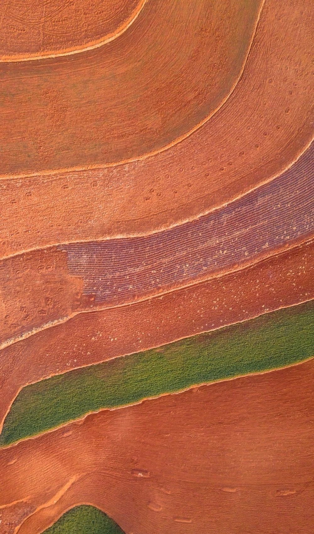 驚艷福連文苑景：發(fā)現(xiàn)未知的美！