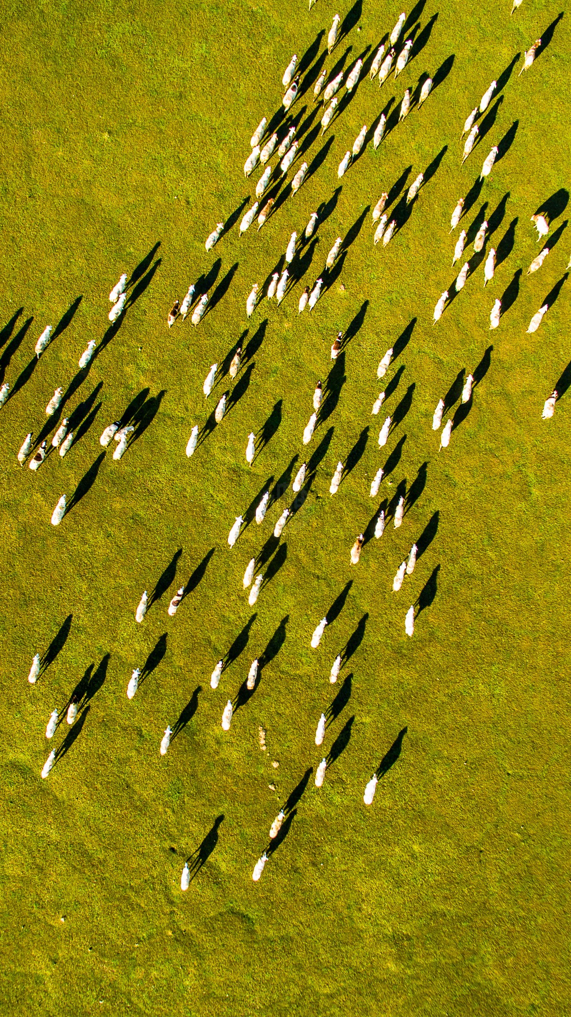 驚艷福連文苑景：發(fā)現(xiàn)未知的美！