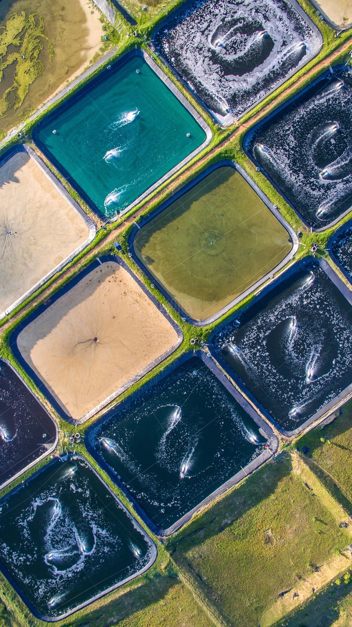 驚艷福連文苑景：發(fā)現(xiàn)未知的美！