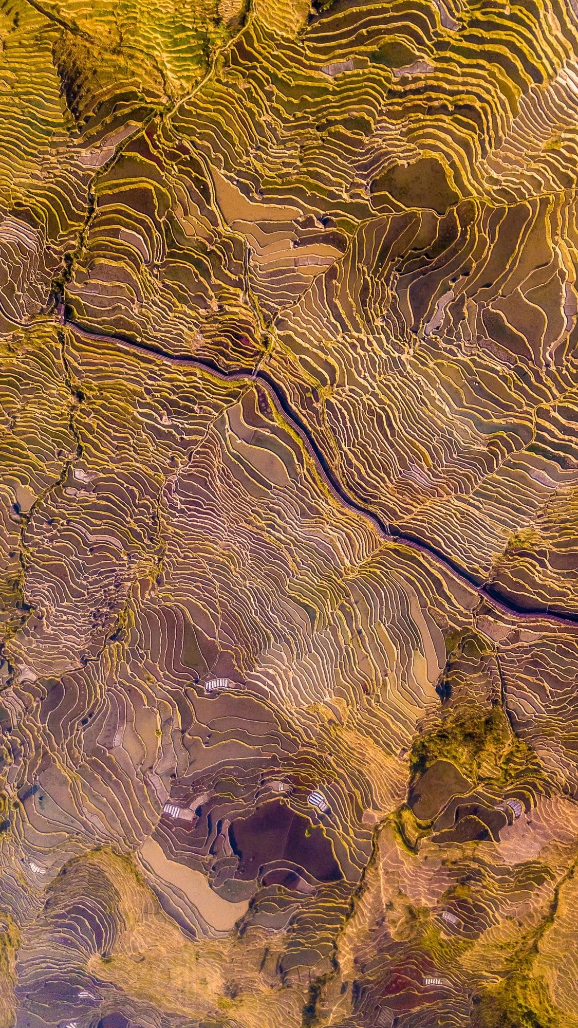 驚艷福連文苑景：發(fā)現(xiàn)未知的美！