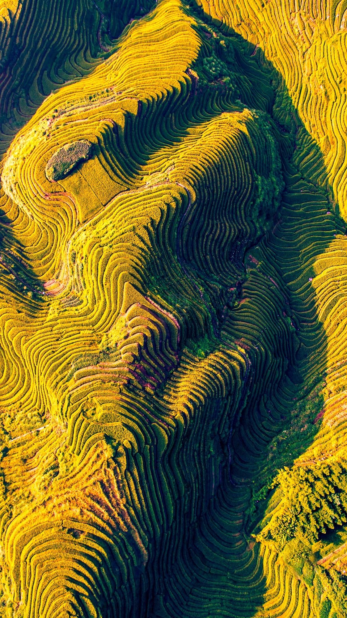 驚艷福連文苑景：發(fā)現(xiàn)未知的美！