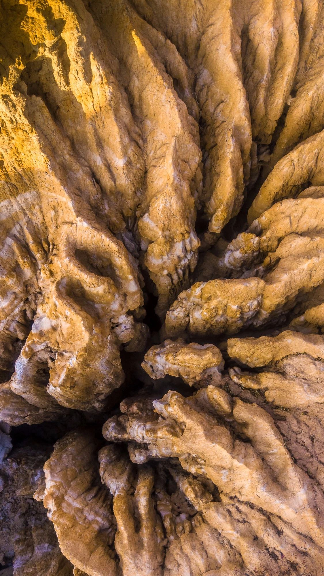 驚艷福連文苑景：發(fā)現(xiàn)未知的美！