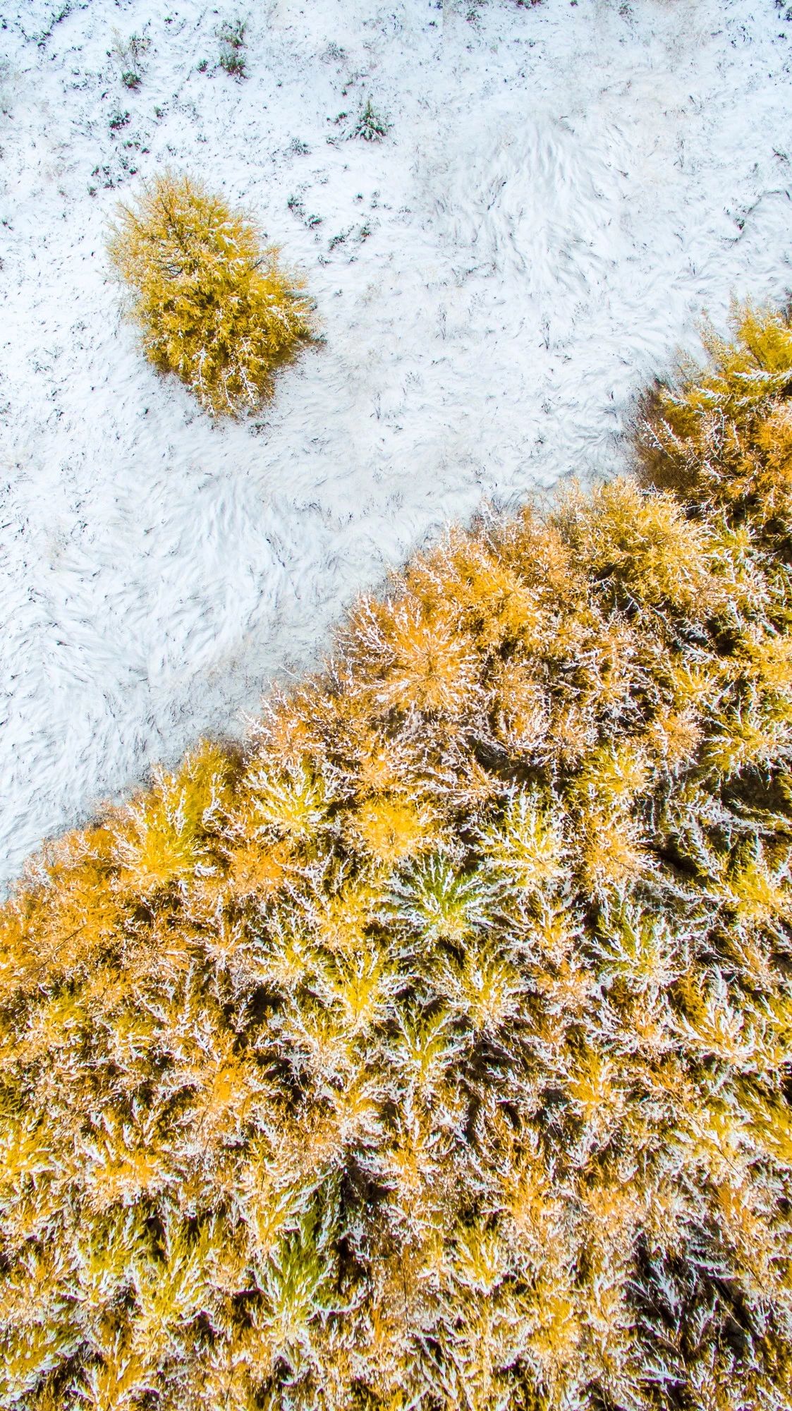 驚艷福連文苑景：發(fā)現(xiàn)未知的美！