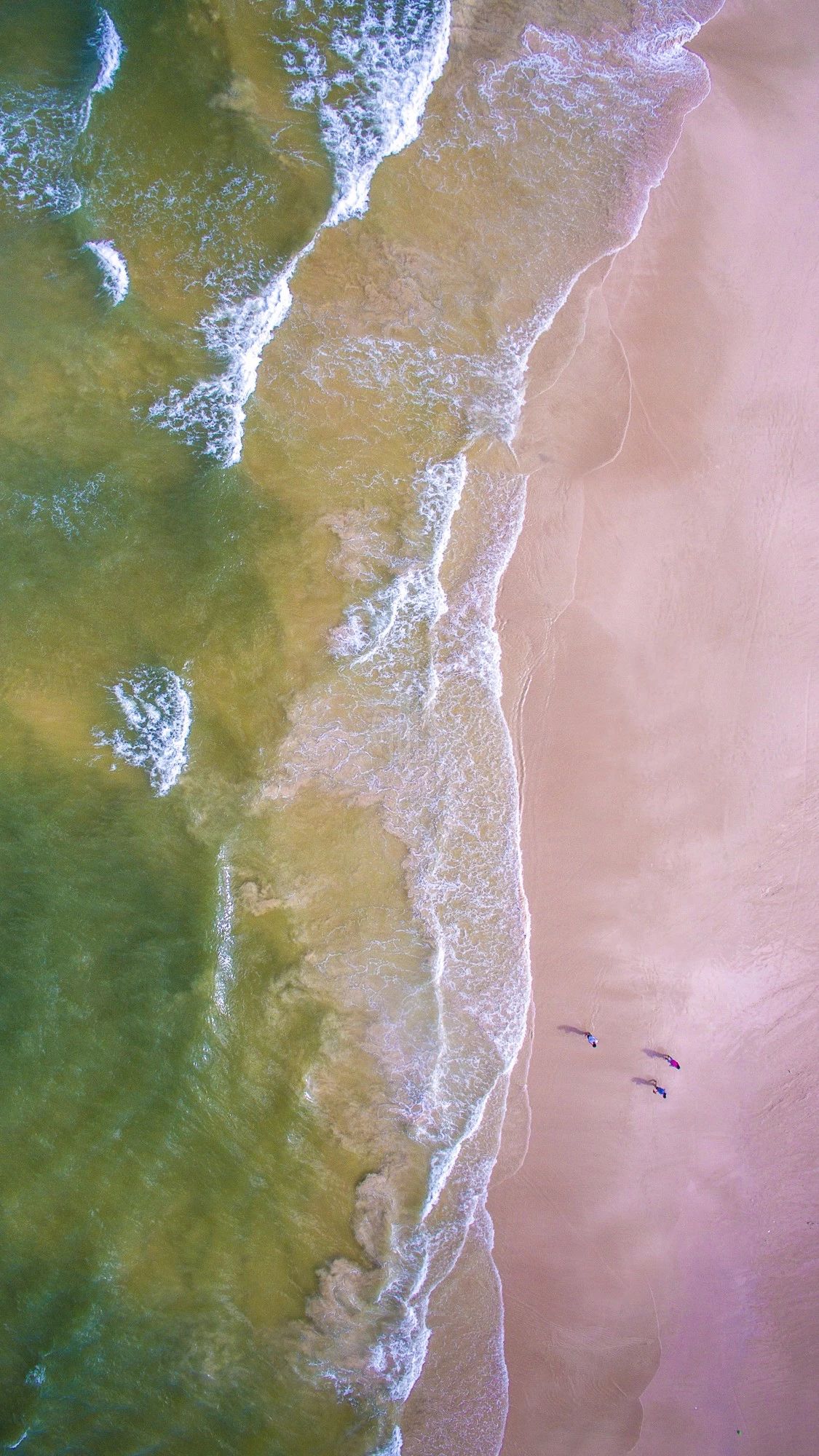 驚艷福連文苑景：發(fā)現(xiàn)未知的美！