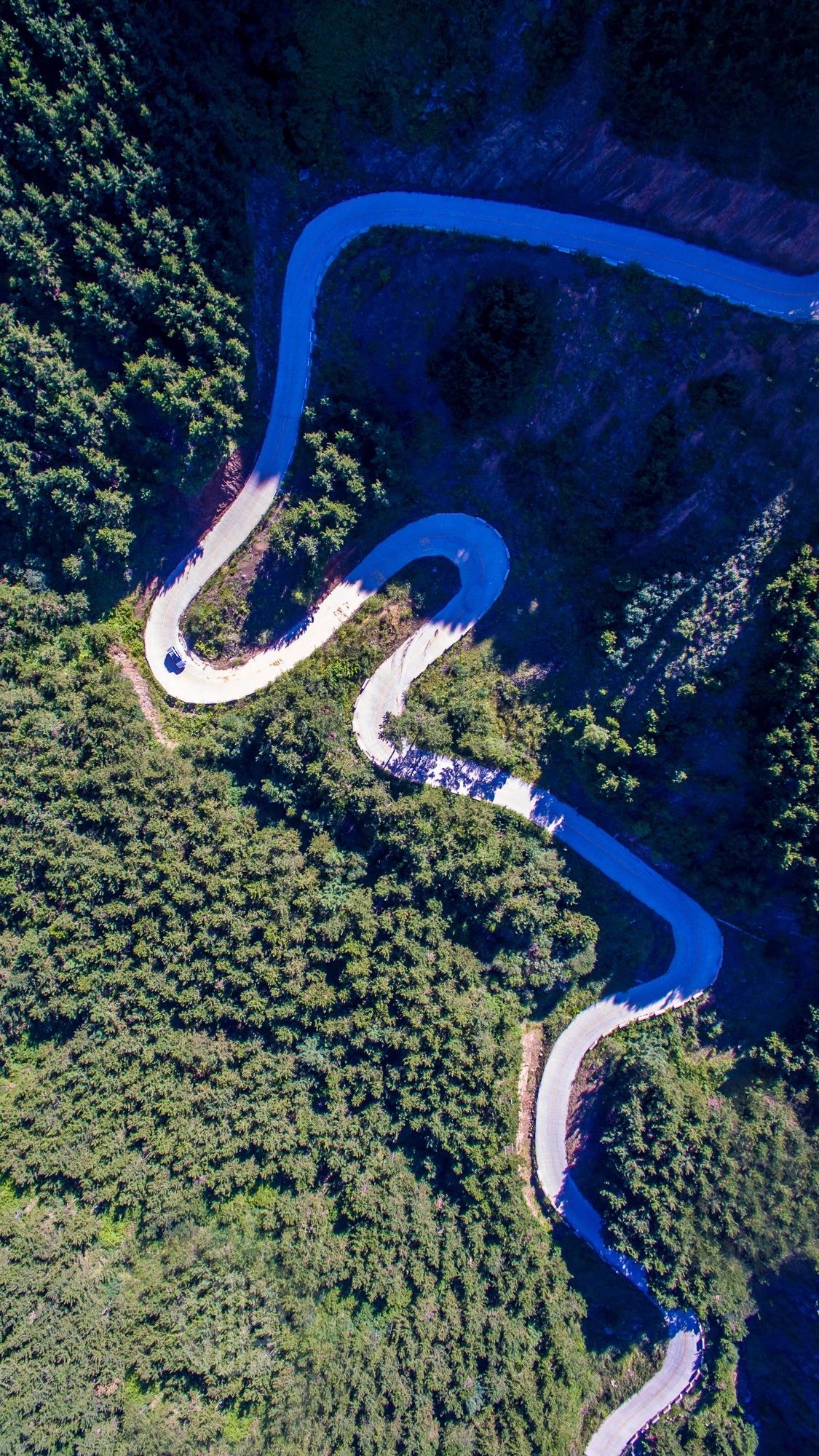 驚艷福連文苑景：發(fā)現(xiàn)未知的美！