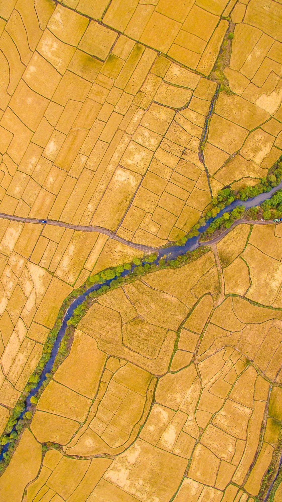 驚艷福連文苑景：發(fā)現(xiàn)未知的美！