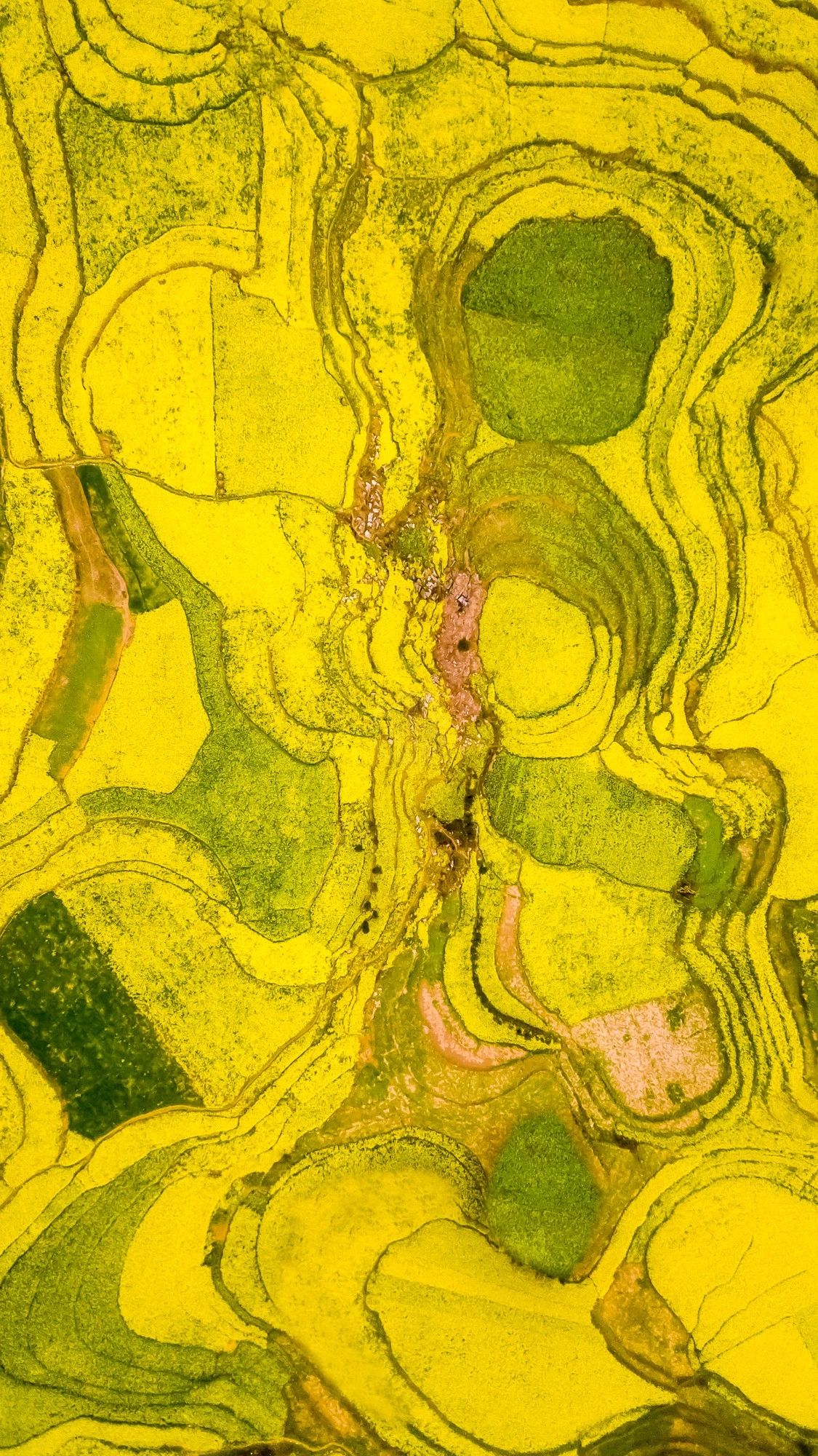 驚艷福連文苑景：發(fā)現(xiàn)未知的美！