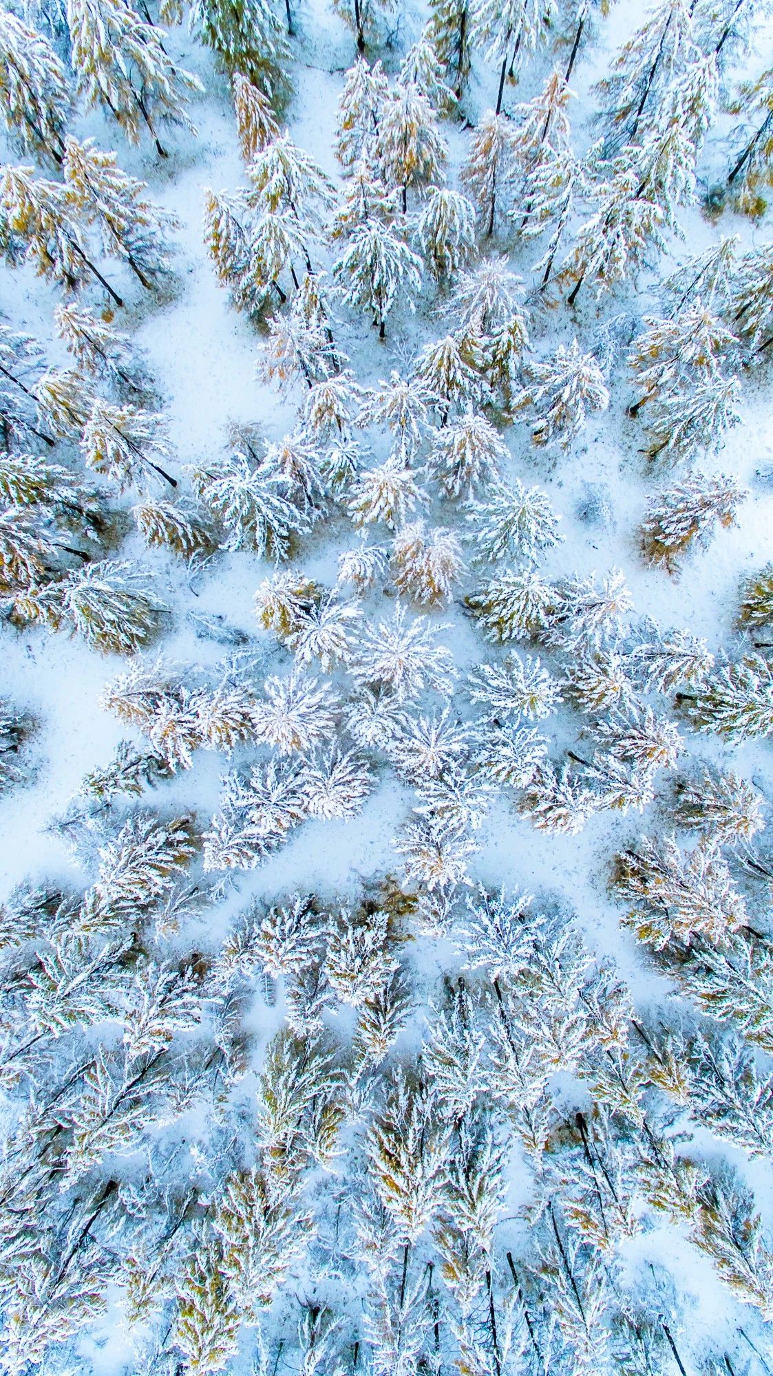 驚艷福連文苑景：發(fā)現(xiàn)未知的美！