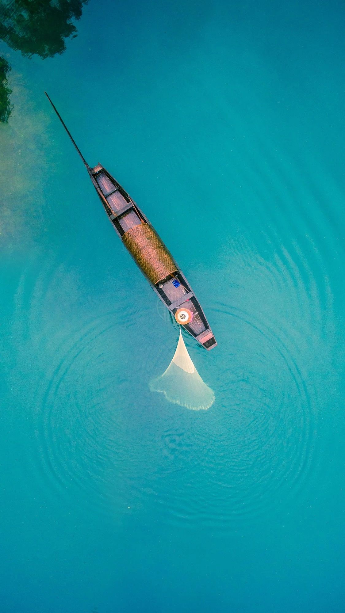 驚艷福連文苑景：發(fā)現(xiàn)未知的美！