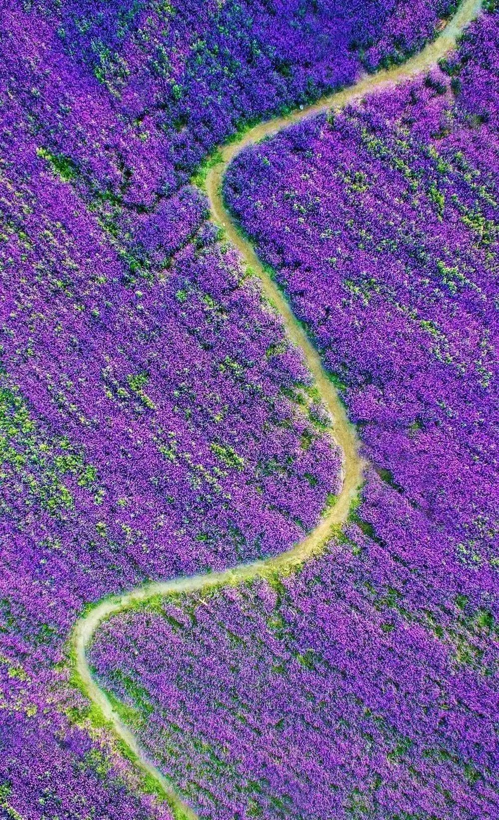 驚艷福連文苑景：發(fā)現(xiàn)未知的美！