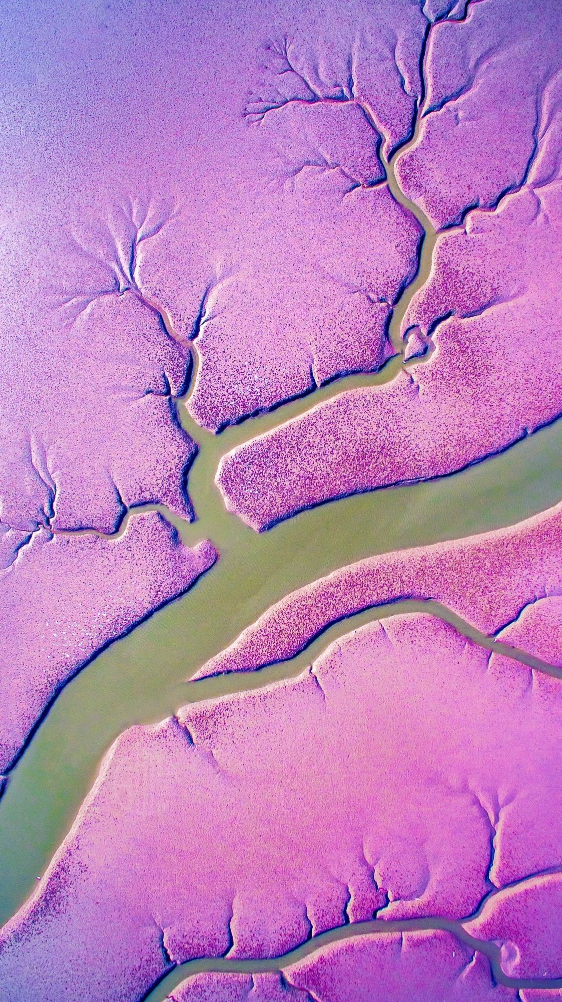 驚艷福連文苑景：發(fā)現(xiàn)未知的美！