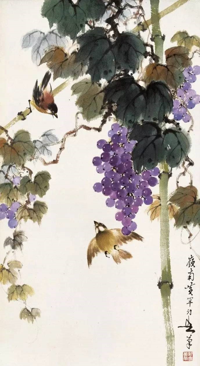 美人如葡萄，秀美如國(guó)畫！