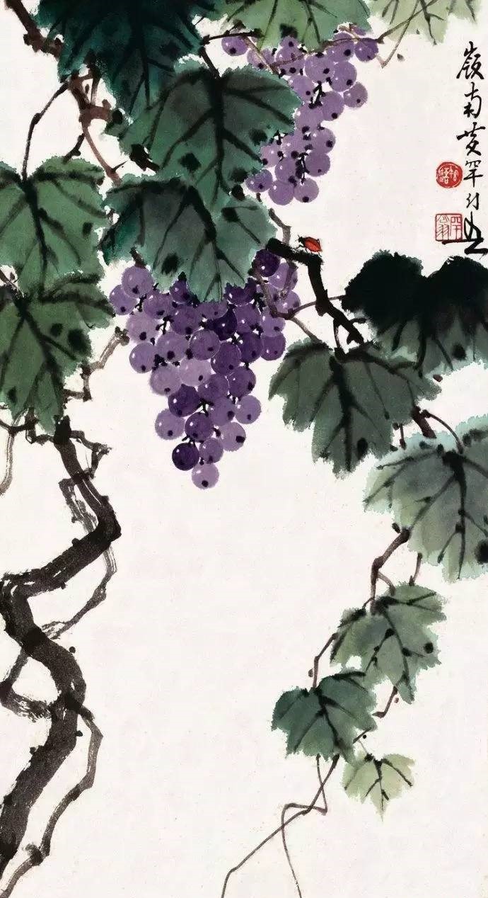 美人如葡萄，秀美如國(guó)畫！