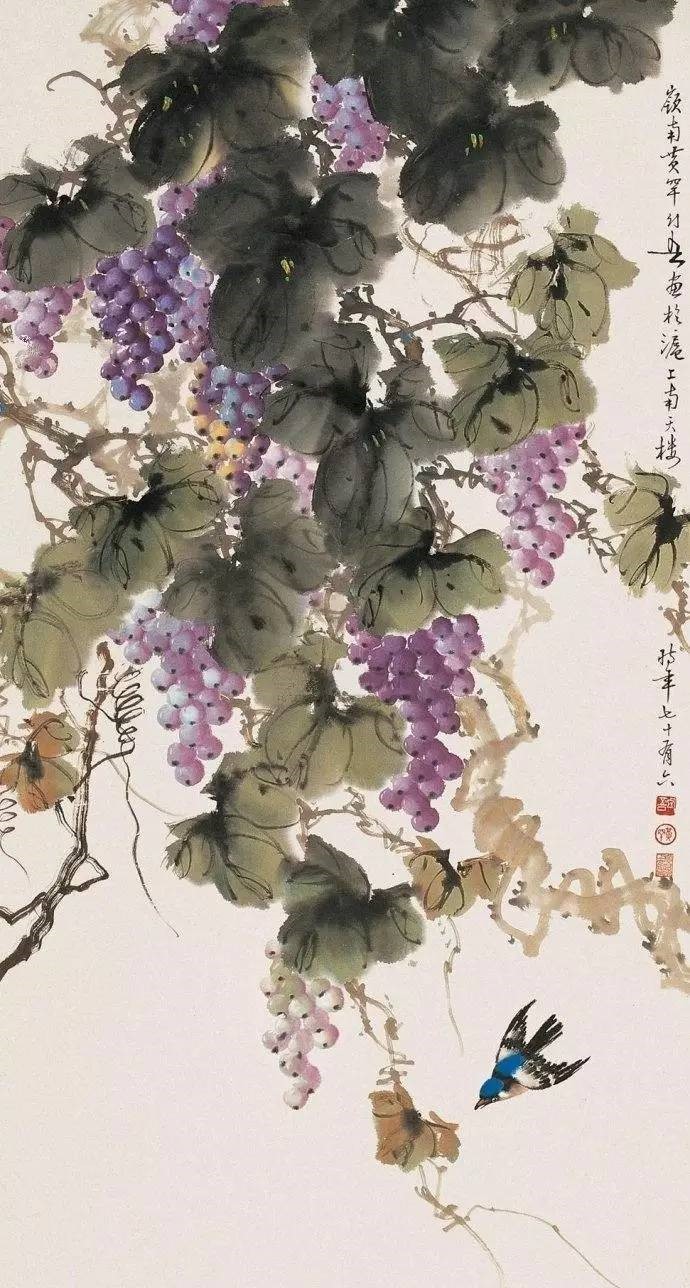 美人如葡萄，秀美如國畫！