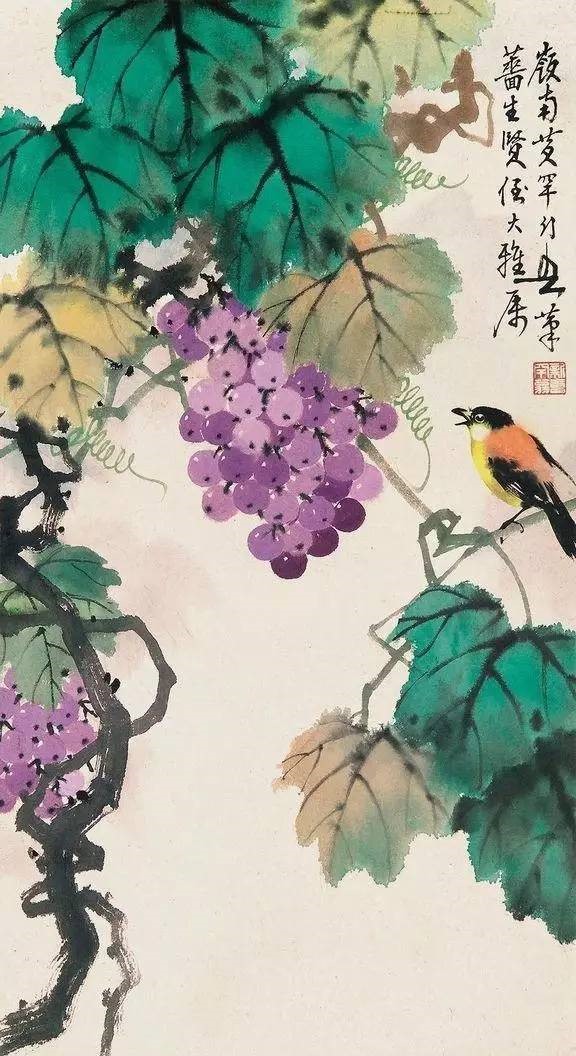 美人如葡萄，秀美如國畫！