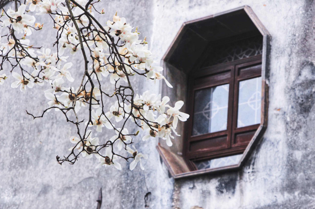 古鎮(zhèn)游玩，有一種說走就走的旅行