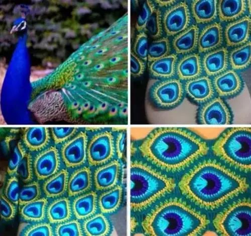 孔雀羽毛編織作品，驚艷眾人！