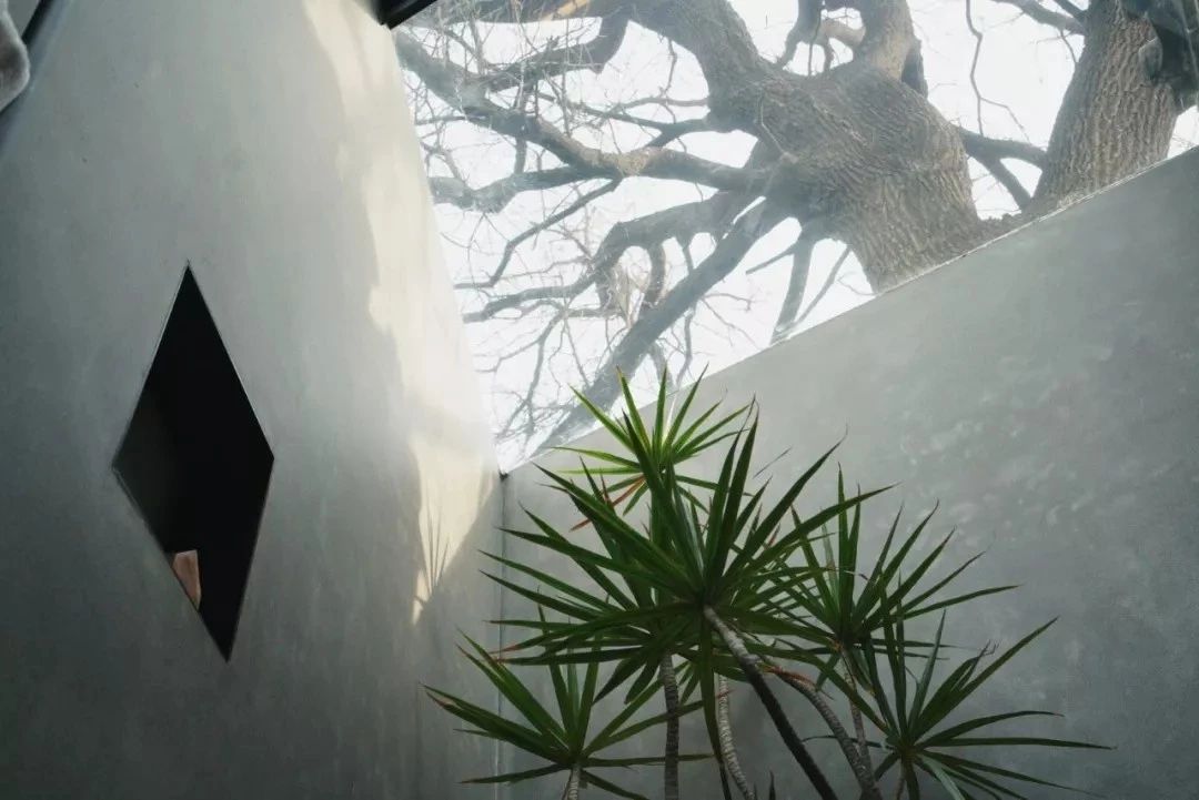 北京·有術(shù)，網(wǎng)紅建筑師青山周平的新作