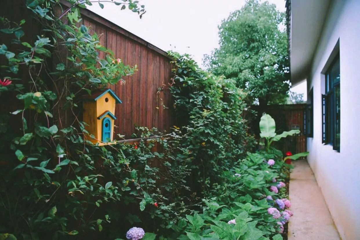 南京·悠然客棧，一方小院一杯清茶一段美好時光