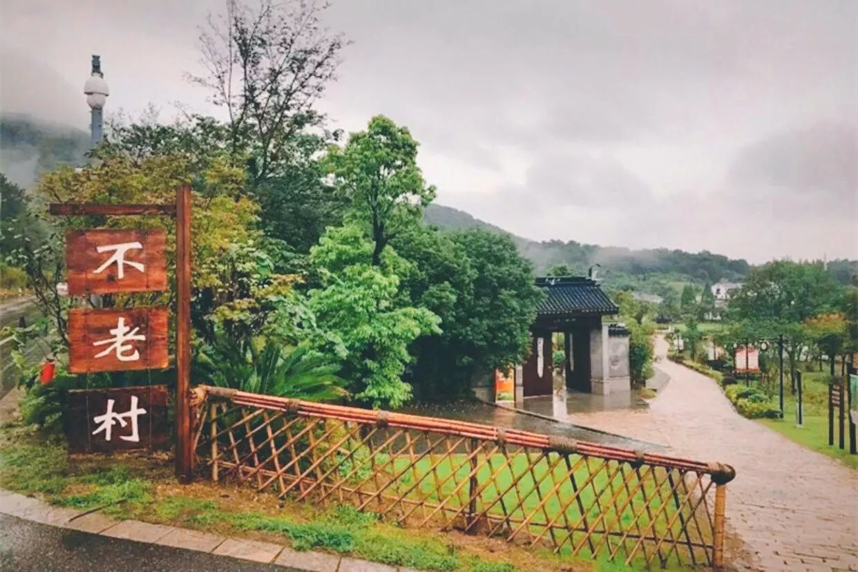 南京·悠然客棧，一方小院一杯清茶一段美好時(shí)光