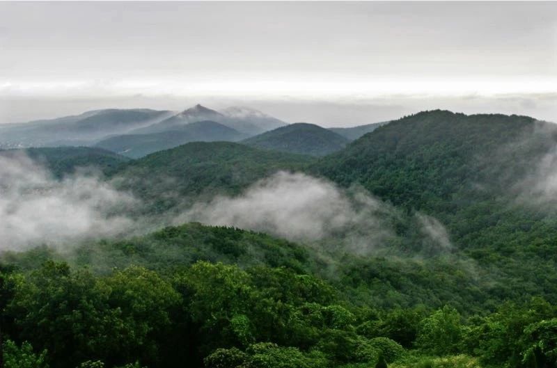 南京·悠然客棧，一方小院一杯清茶一段美好時(shí)光
