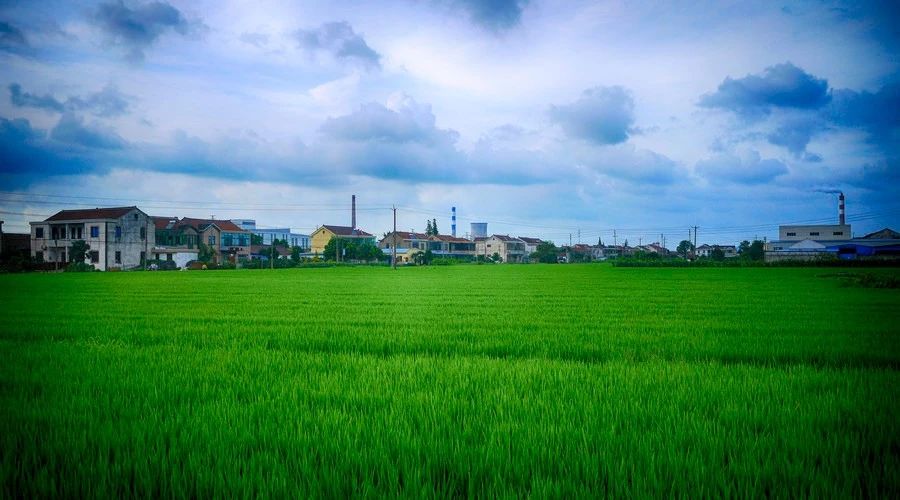 南京·悠然客棧，一方小院一杯清茶一段美好時光