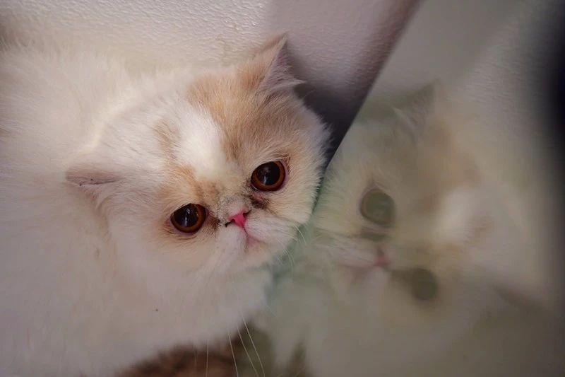 南京·悠然客棧，一方小院一杯清茶一段美好時光