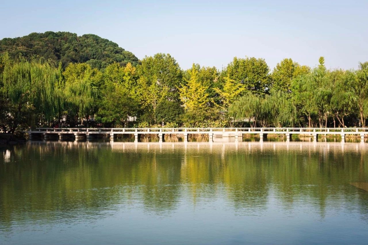 杭州·水墨蓉莊，保持一副獨(dú)立于塵世之外面孔