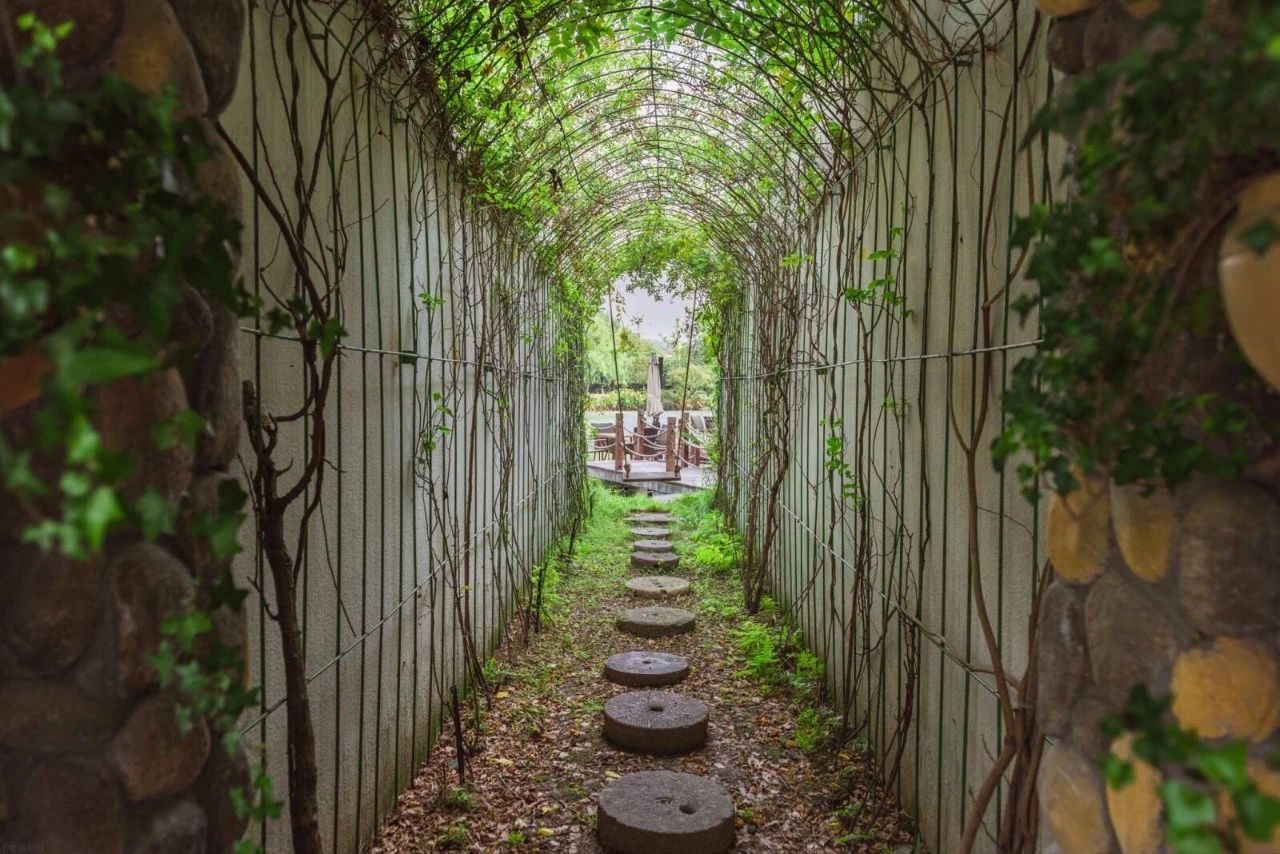 杭州·水墨蓉莊，保持一副獨(dú)立于塵世之外面孔