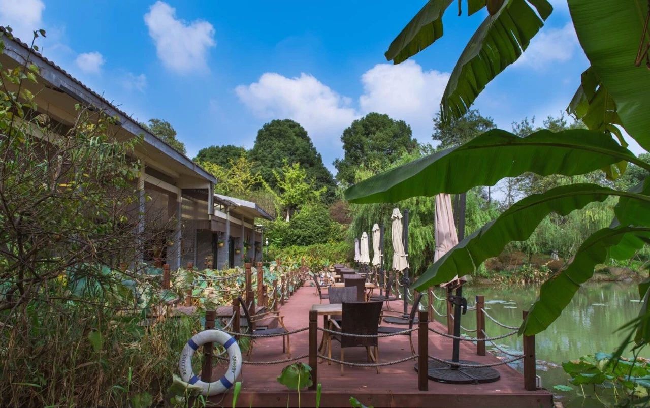 杭州·水墨蓉莊，保持一副獨立于塵世之外面孔