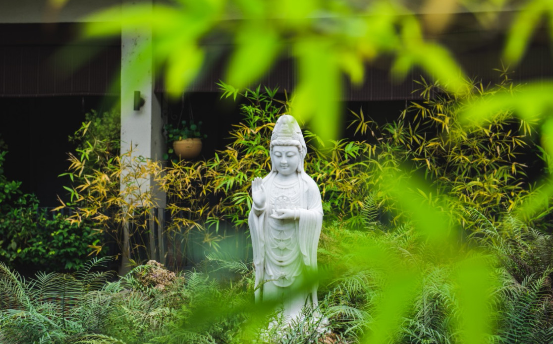 杭州·水墨蓉莊，保持一副獨立于塵世之外面孔