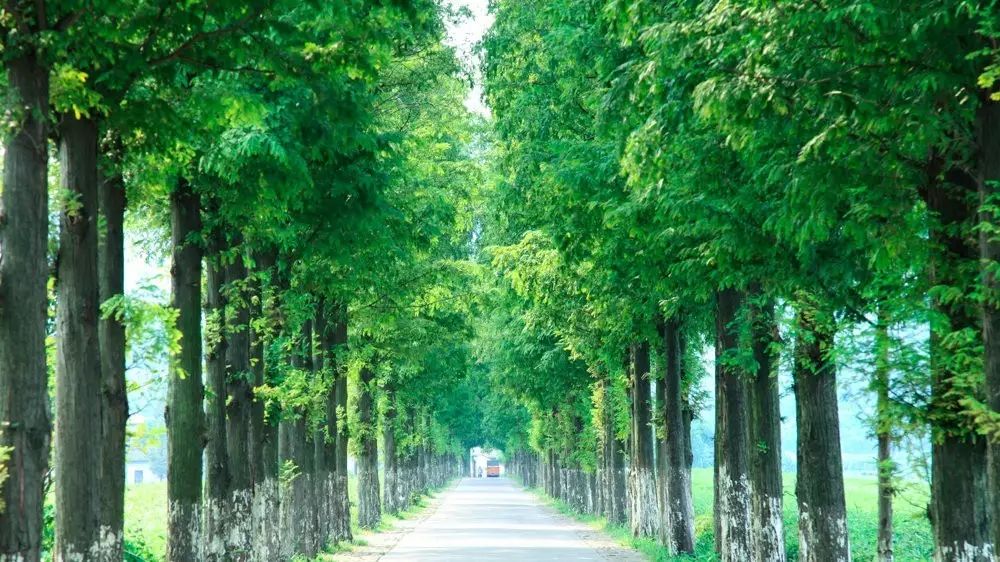 莫干山·玖悅度假酒店，沉浸在風景里