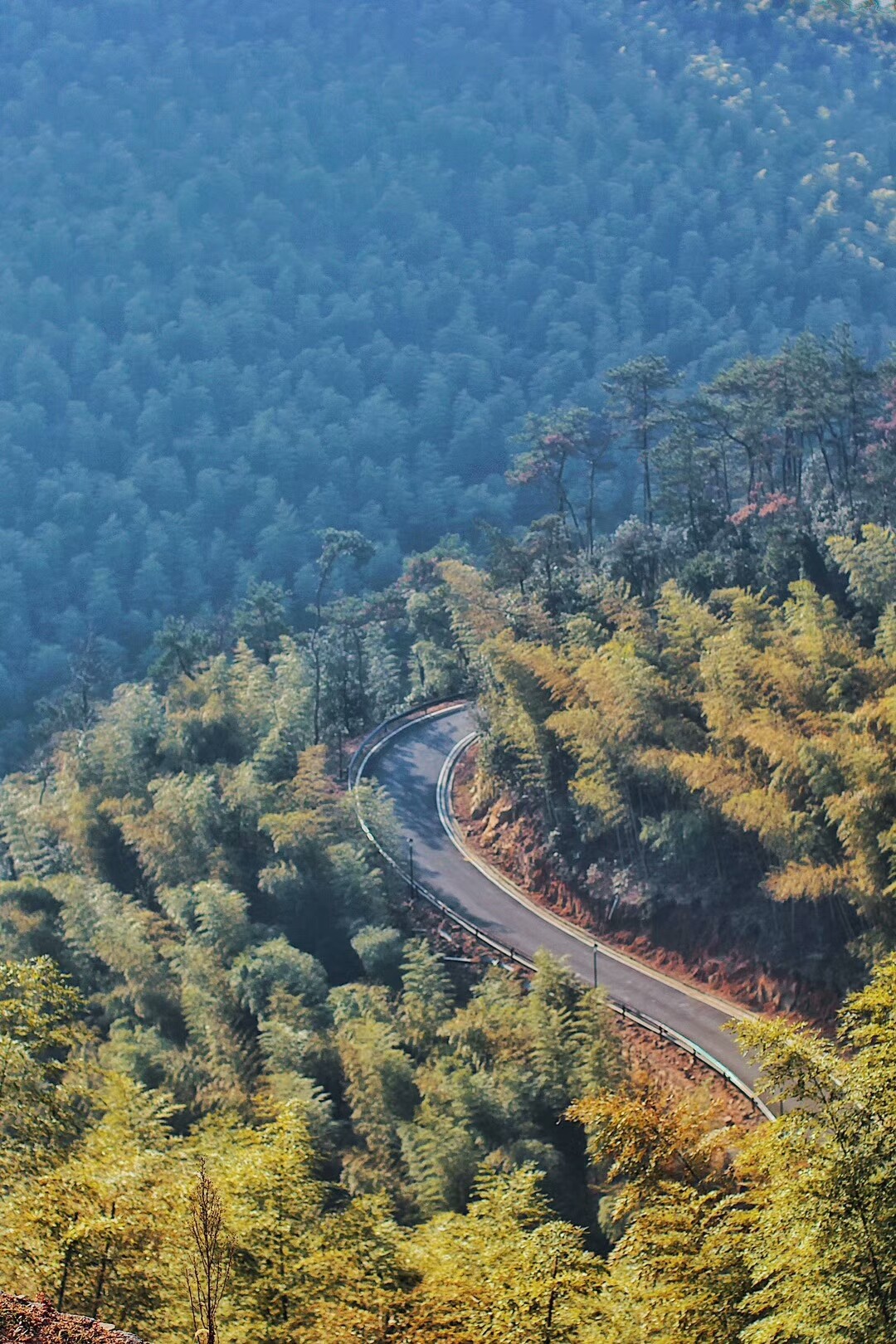 莫干山·玖悅度假酒店，沉浸在風景里