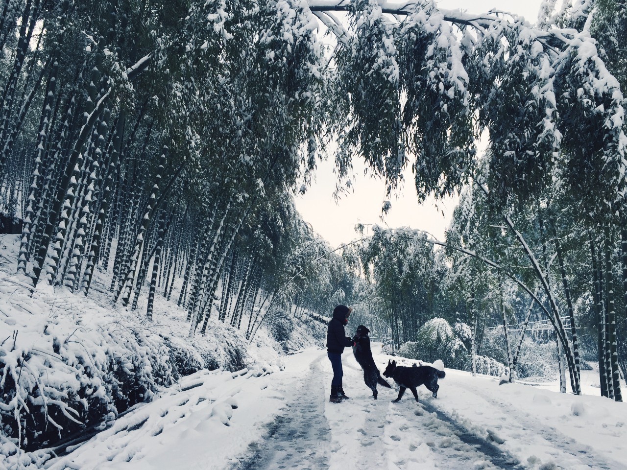 莫干山·玖悅度假酒店，沉浸在風景里
